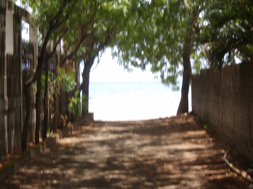 View of San Juan Del Sur beach through trees, Nicaragua.