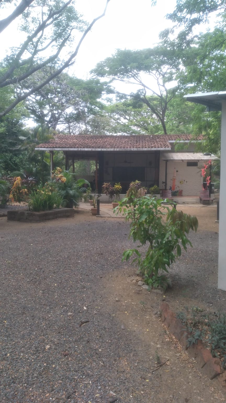 Power Outages and Our Obsolete&nbsp;Generator