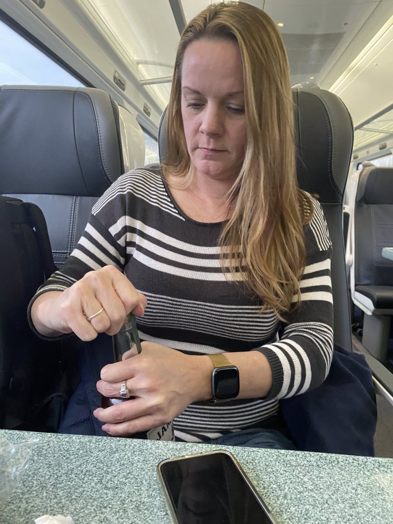 On the train from Dublin to Galway, Ireland
