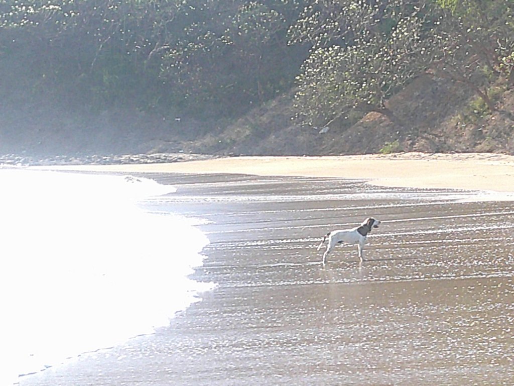 Playa Marsella beach near San Juan del Sur, Nicaragua (Day 6)