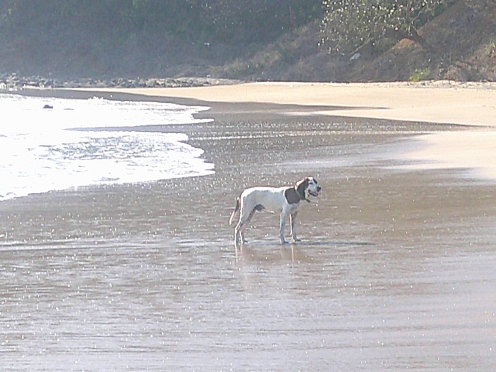 Playa Marsella beach near San Juan del Sur, Nicaragua (Day 6)
