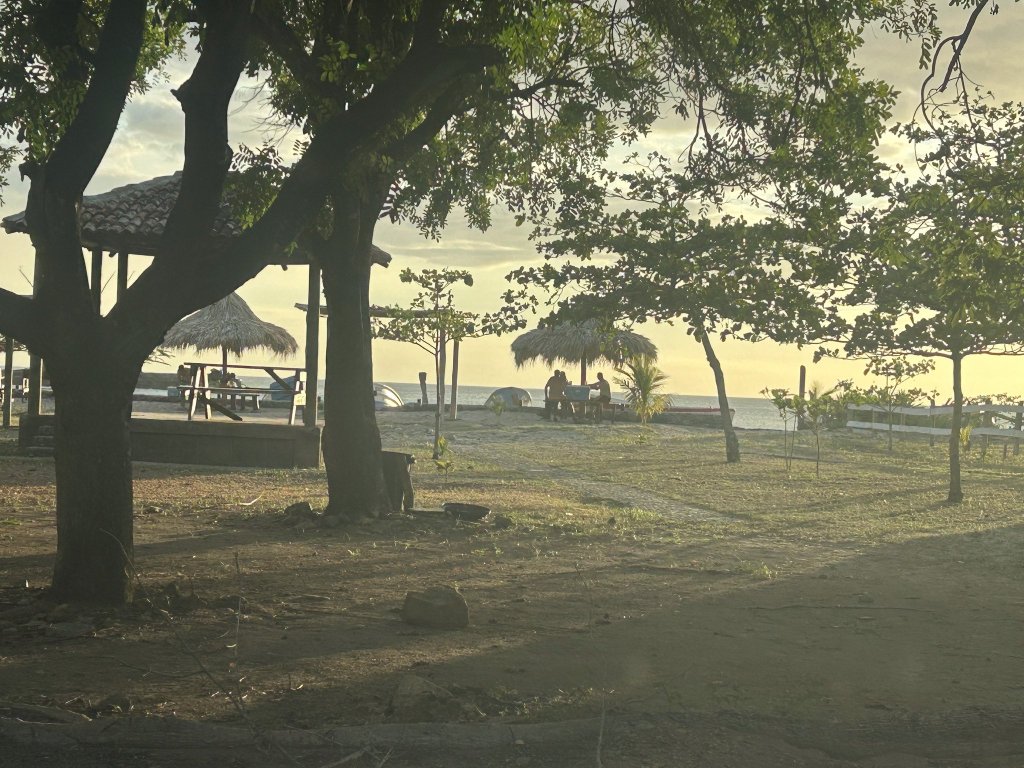 Shady trees near Playa Marsella, Nicaragua
