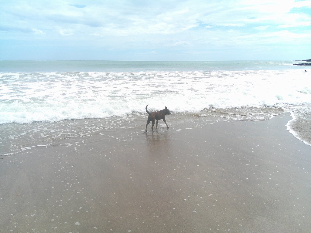 Playa Marsella beach near San Juan del Sur, Nicaragua